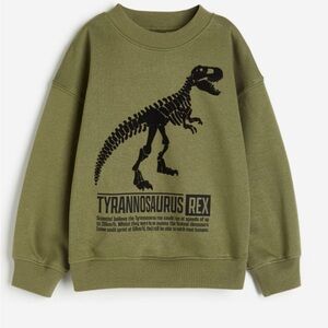 H&M Boys sweater & sweatshirt